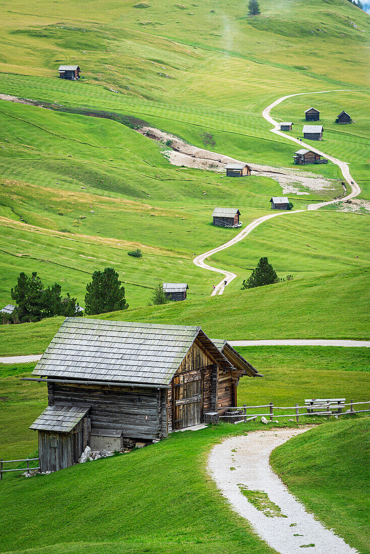 Typische alpine Holzhütten auf grünen Wiesen, Dolomiten, Puez Geisler, Bezirk Bozen, Südtirol, Italien, Europa