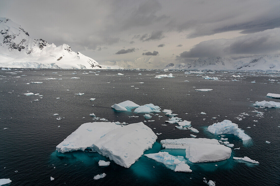 Ice drifting in Paradise Bay, Antarctica, Polar Regions