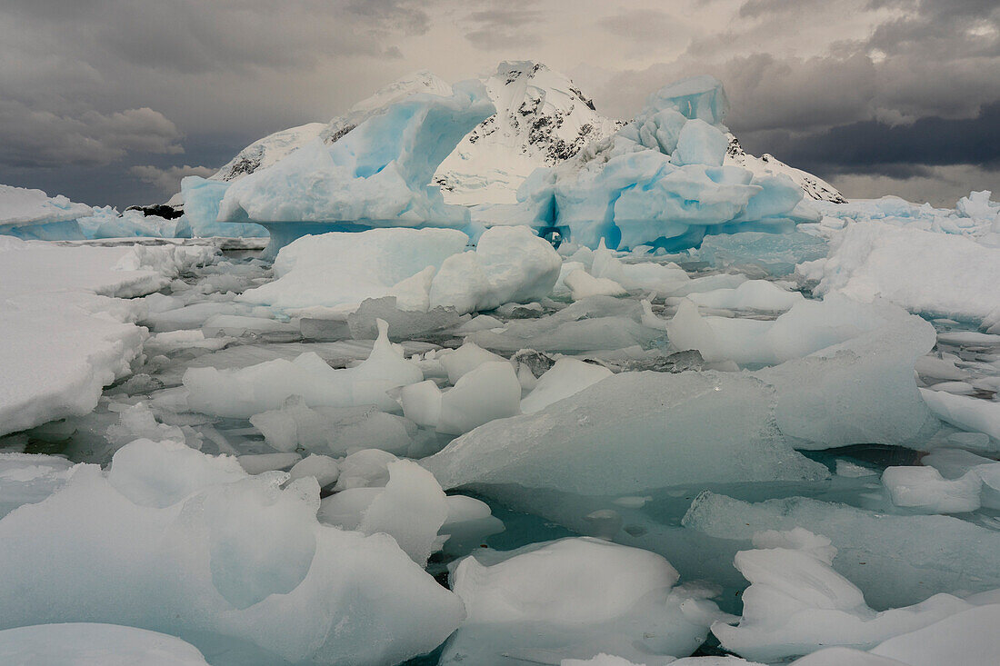 Treibeis und Eisberg in der Paradise Bay, Antarktis, Polargebiete