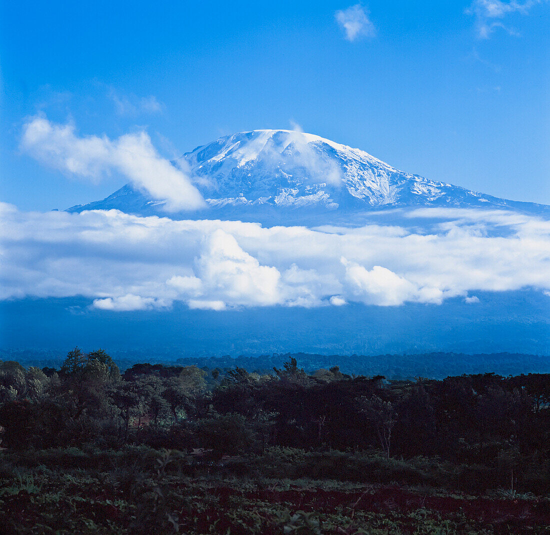 Der Kilimandscharo mit tief hängenden Wolken.