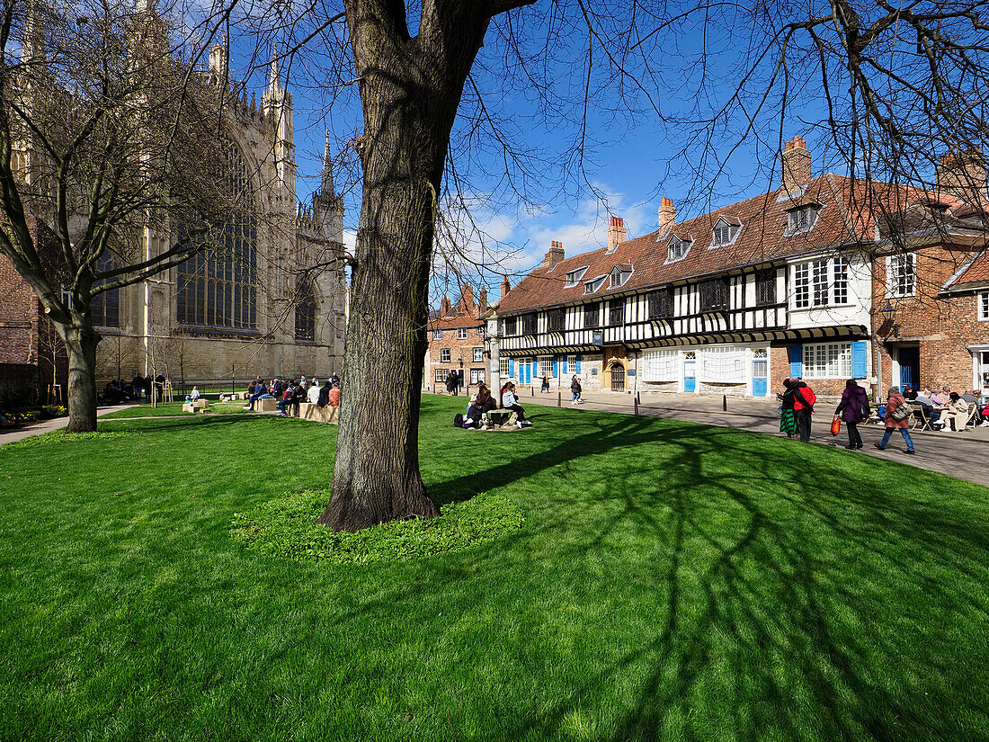 College Green und St. Williams College im Frühling in York, Yorkshire, England, Vereinigtes Königreich, Europa