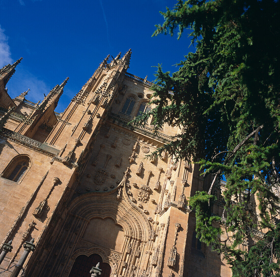Kathedrale Nueva, tiefer Blickwinkel
