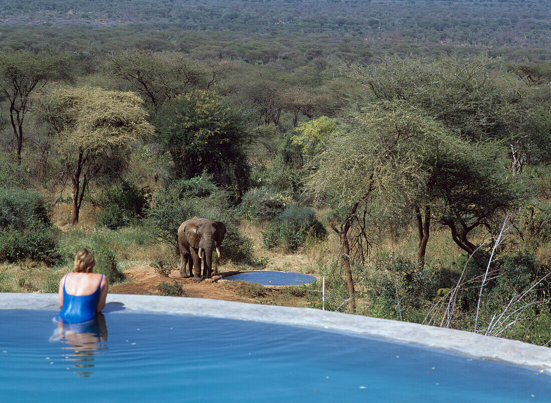 Sarara Camp, Frau im Pool, die einen Elefanten beobachtet, Namunyak Wildlife Conservation Trust