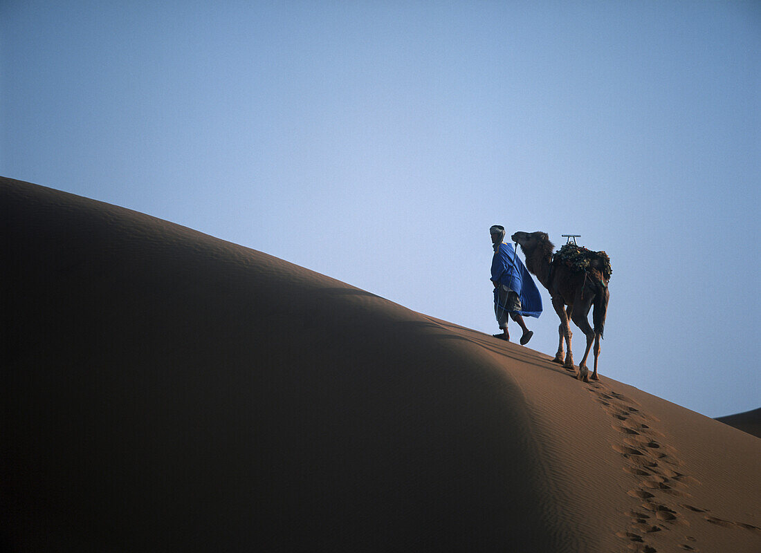Man And Camel On Sand Dune