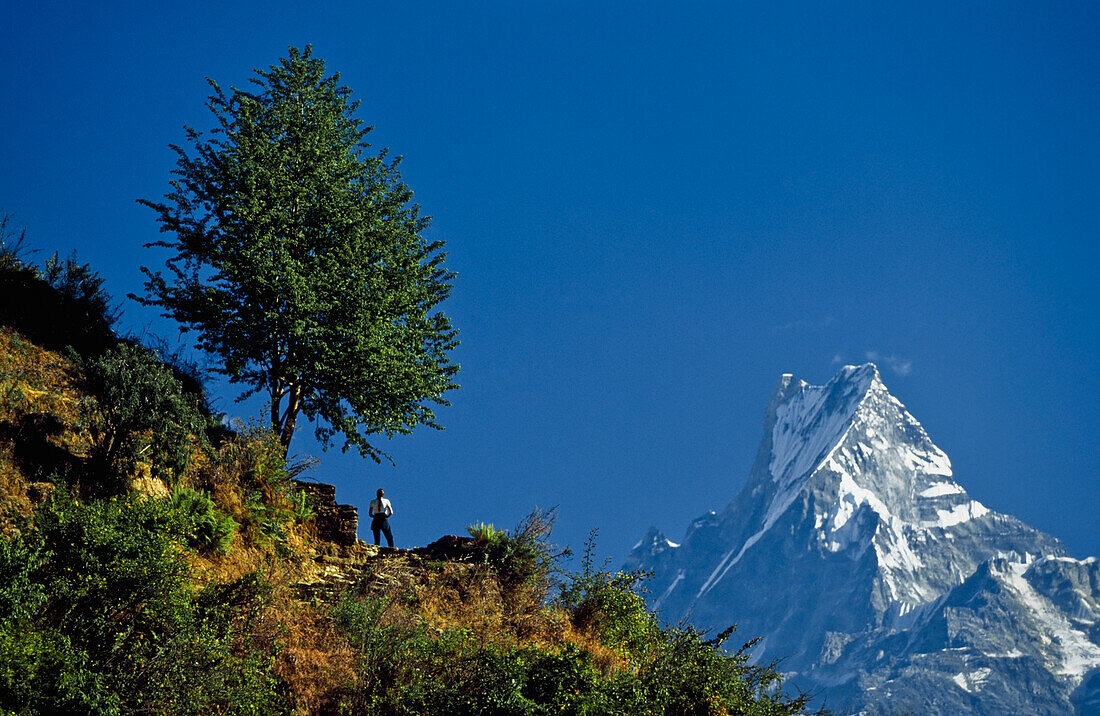 Wanderer mit Blick auf die Annapurna-Region