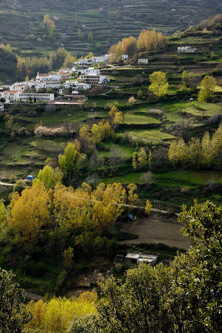 Trevelez In Sierra Nevada Mountains