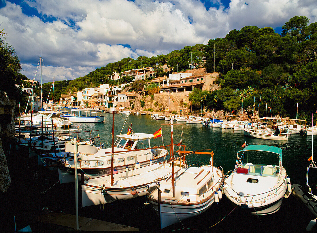 Boats Moored Along Coast