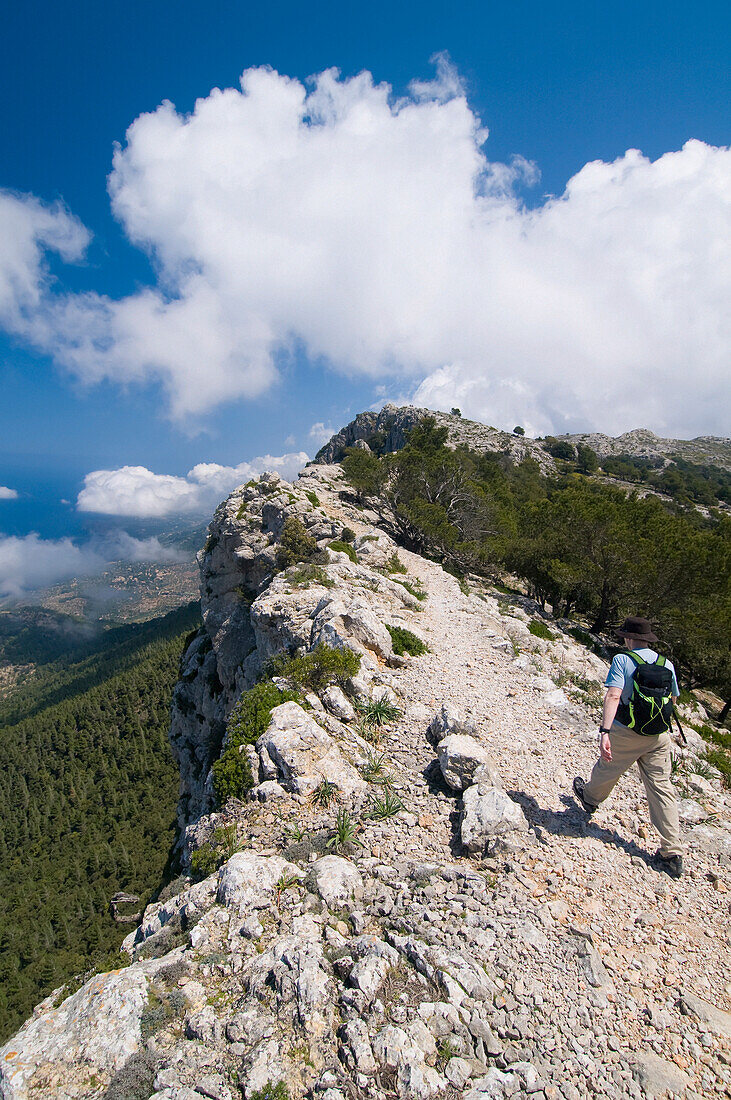 Hiker On Mountain Track, Rear View