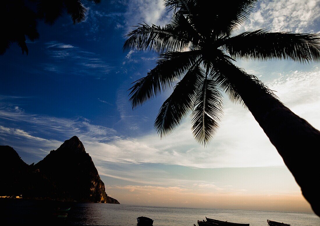 Silhouette von Palmen mit Petit Piton im Hintergrund