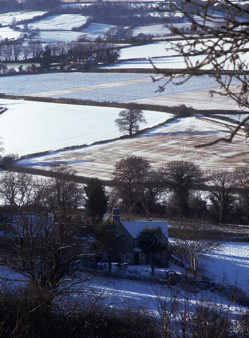 Winter Landscape