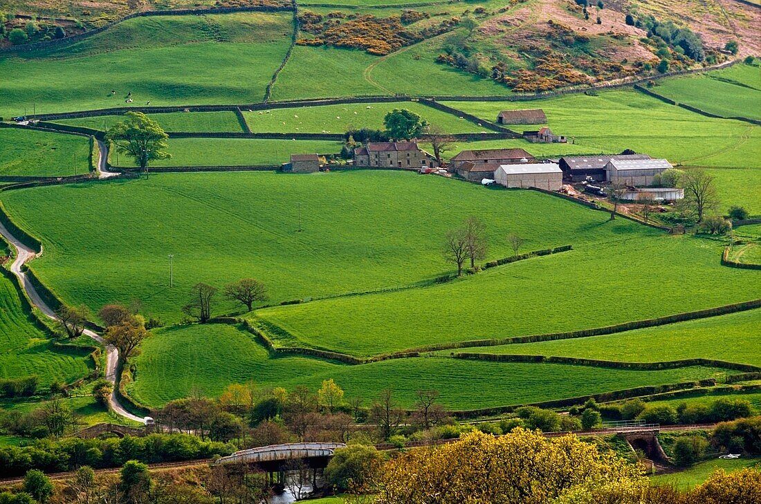 Ackerland im North York Moors National Park