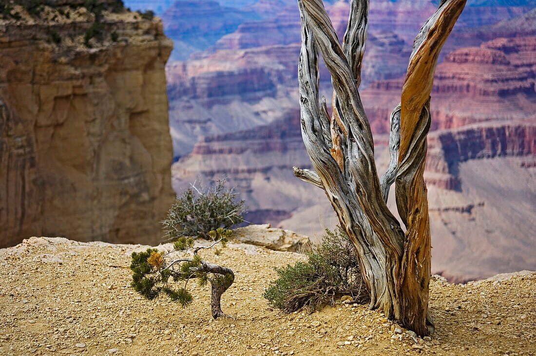 Südlicher Rand des Grand-Canyon-Nationalparks