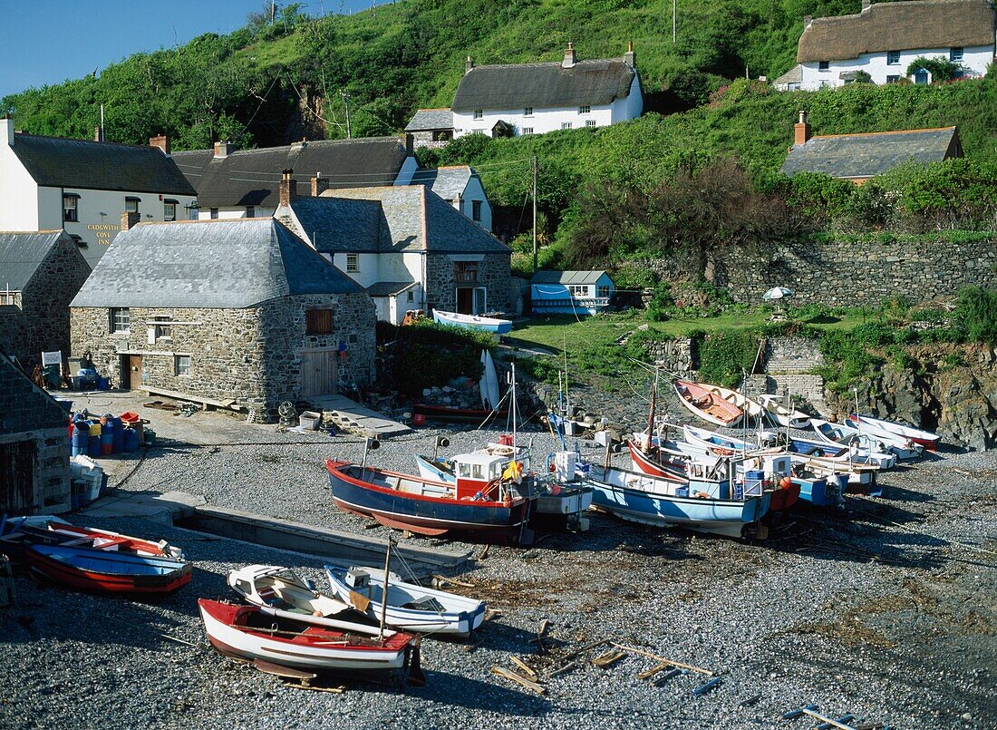 Boats At Low Tide In Harbour At Cadgwith