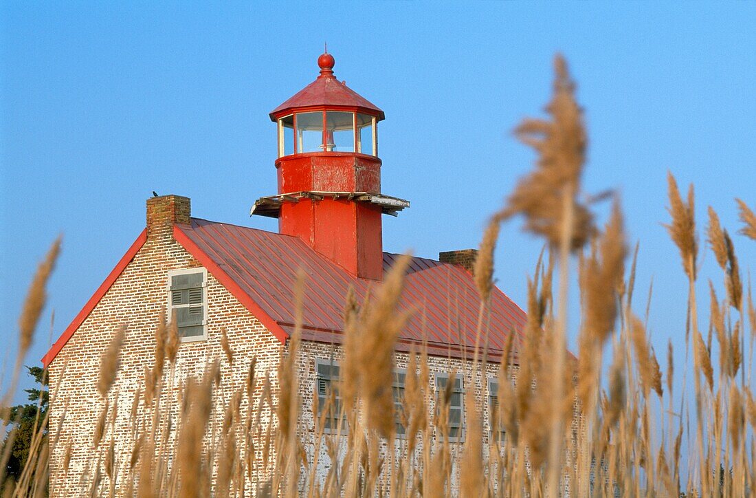 Lighthouse In Wheat Field