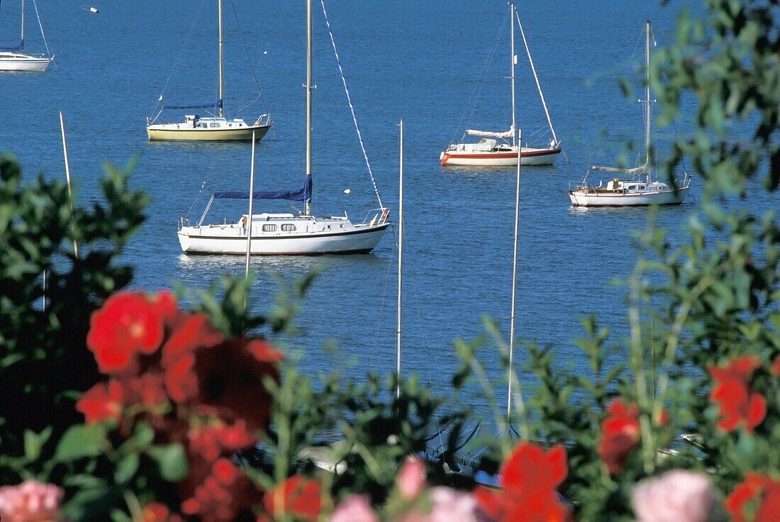 Boats In Harbor At Southend On Sea