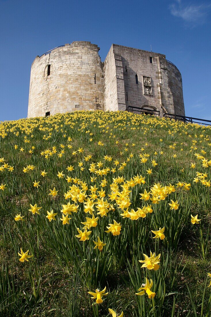 Cliffords Tower In Castle Area