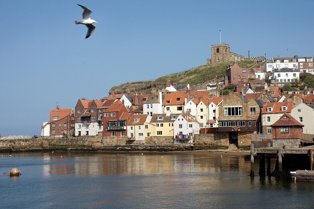 Hafen von Whitby