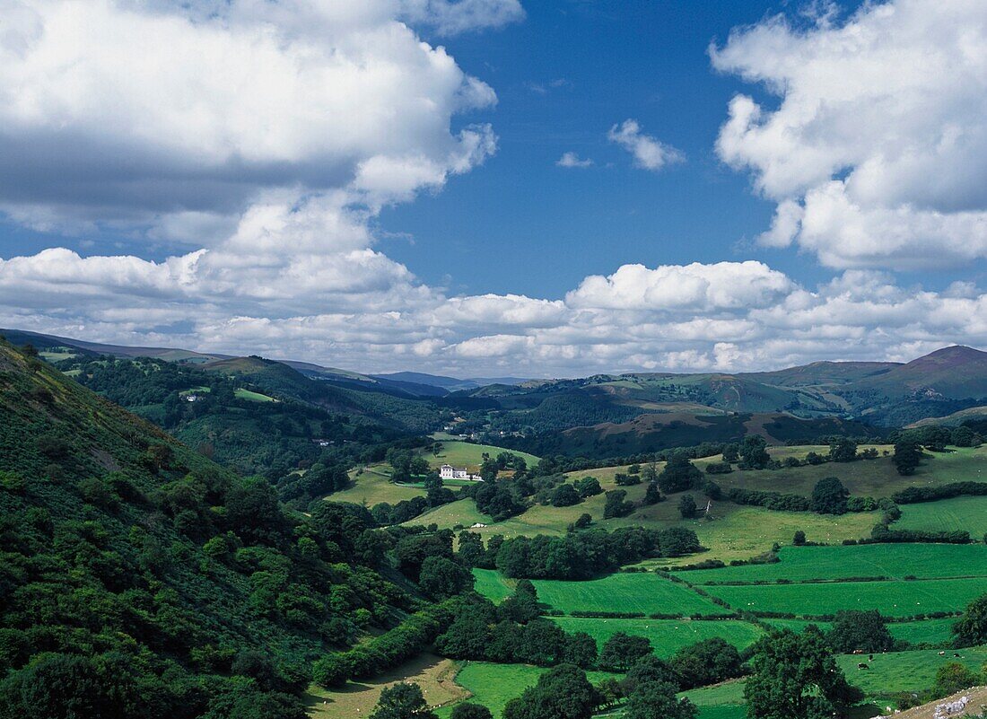 Landschaft mit Feldern, Wald und Wolken