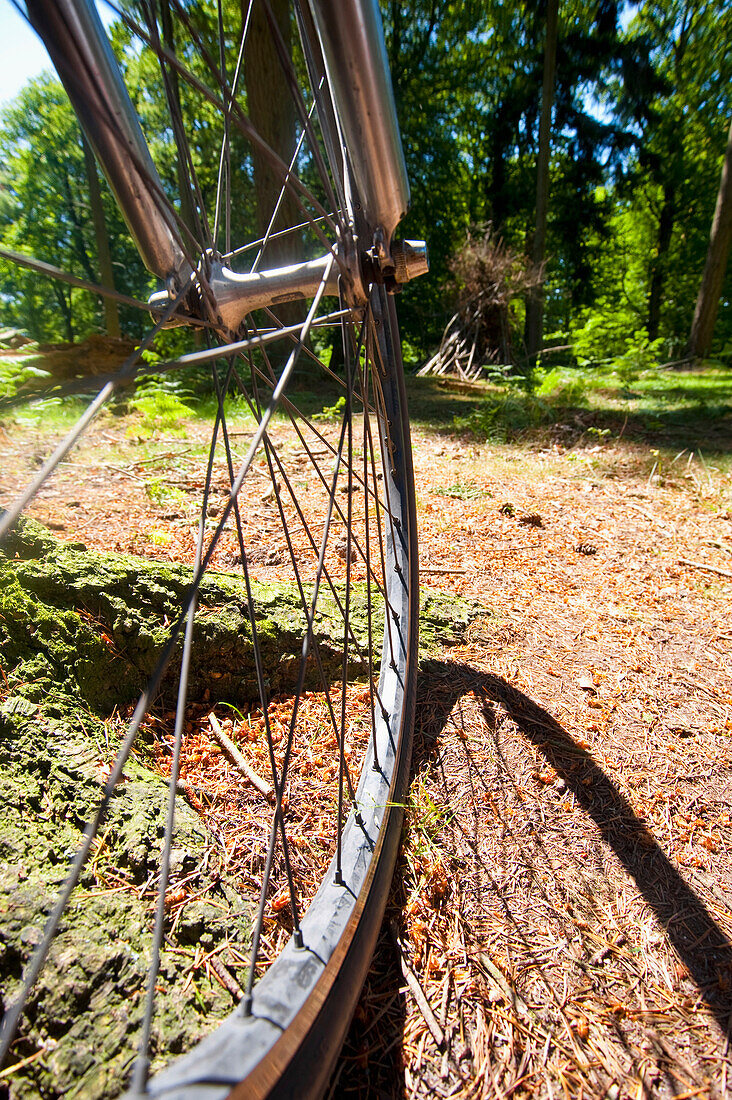 Fahrrad im New Forest National Park