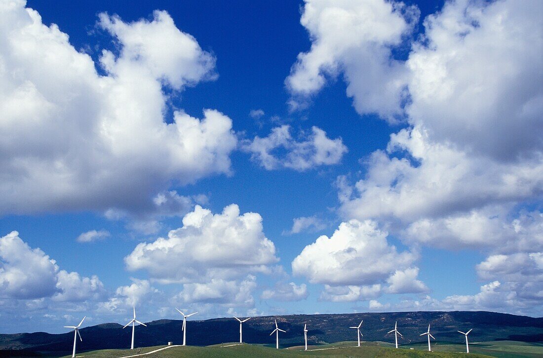 Wind Farm Under Big Blue Sky