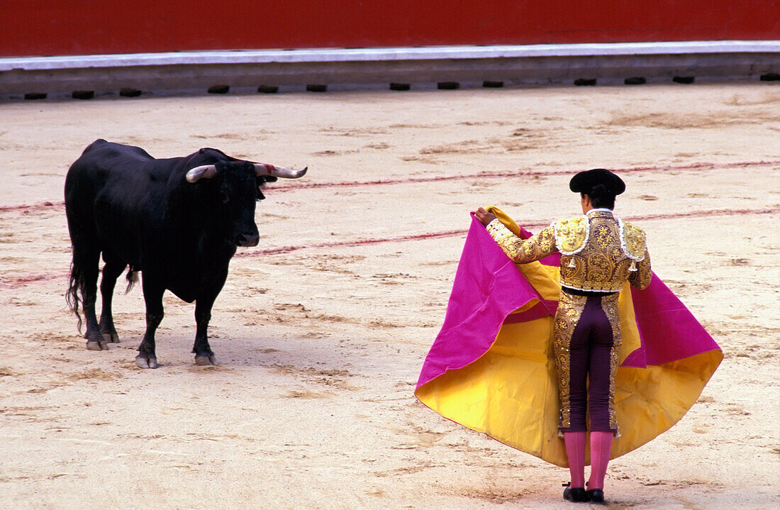 Matador Tormenting Bull In Ring