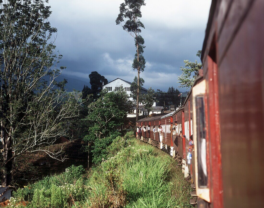 Labor Bungalows At Tea Factory