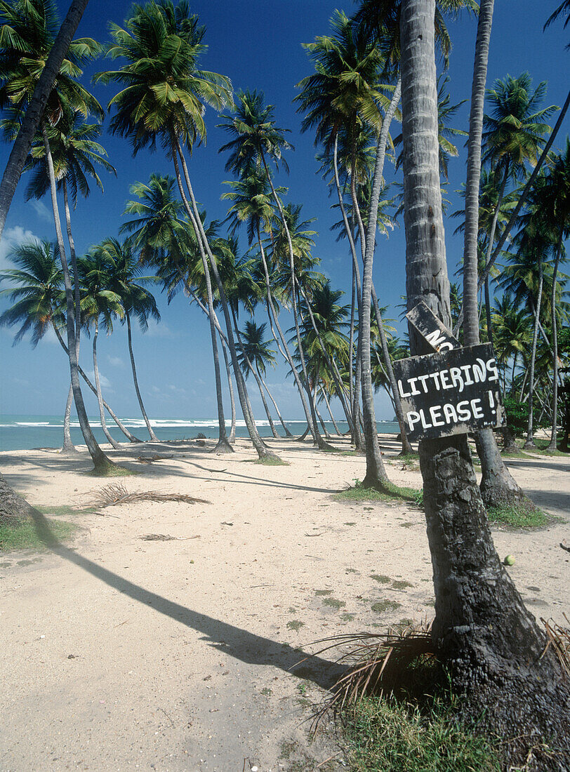 Palm Trees And 'litterins Please!' Sign On Galera Point Beach