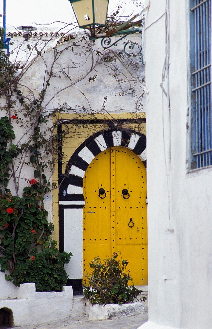 Doorway In Tunis