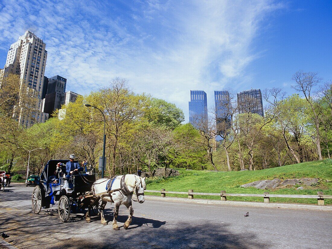 Time Warner Towers And Horse Drawn Carriage