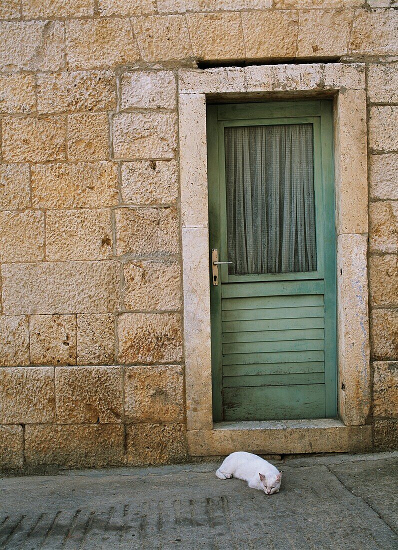 Cat Sleeping Outside Door In The Town Of Kut Near Vis Town, Vis, Croatia.
