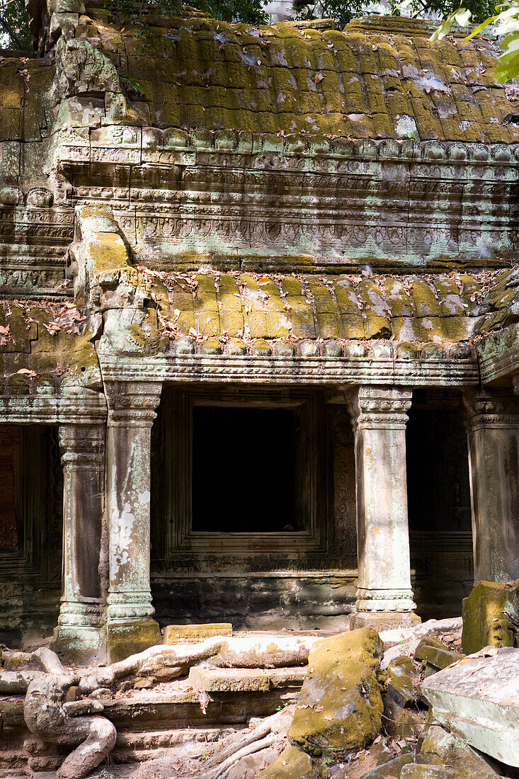 Überwachsener Tempel von Ta Prohm, Angkor, Siem Reap, Kambodscha