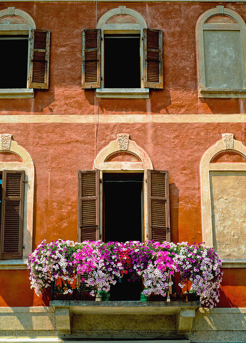 Balcony With Petunia Flower Boxes And Shuttered Windows, Close Up