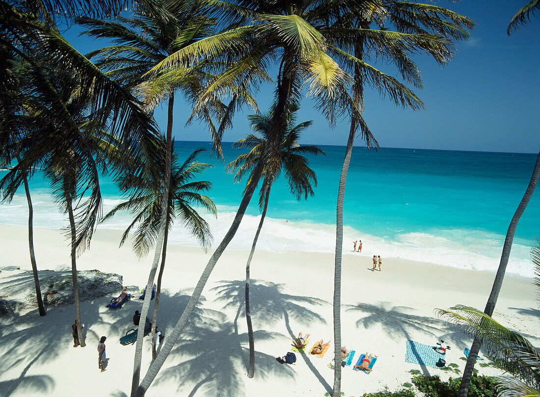 Looking Through Palm Trees And Out To Sea From Bottom Bay,South Coast,Barbados.