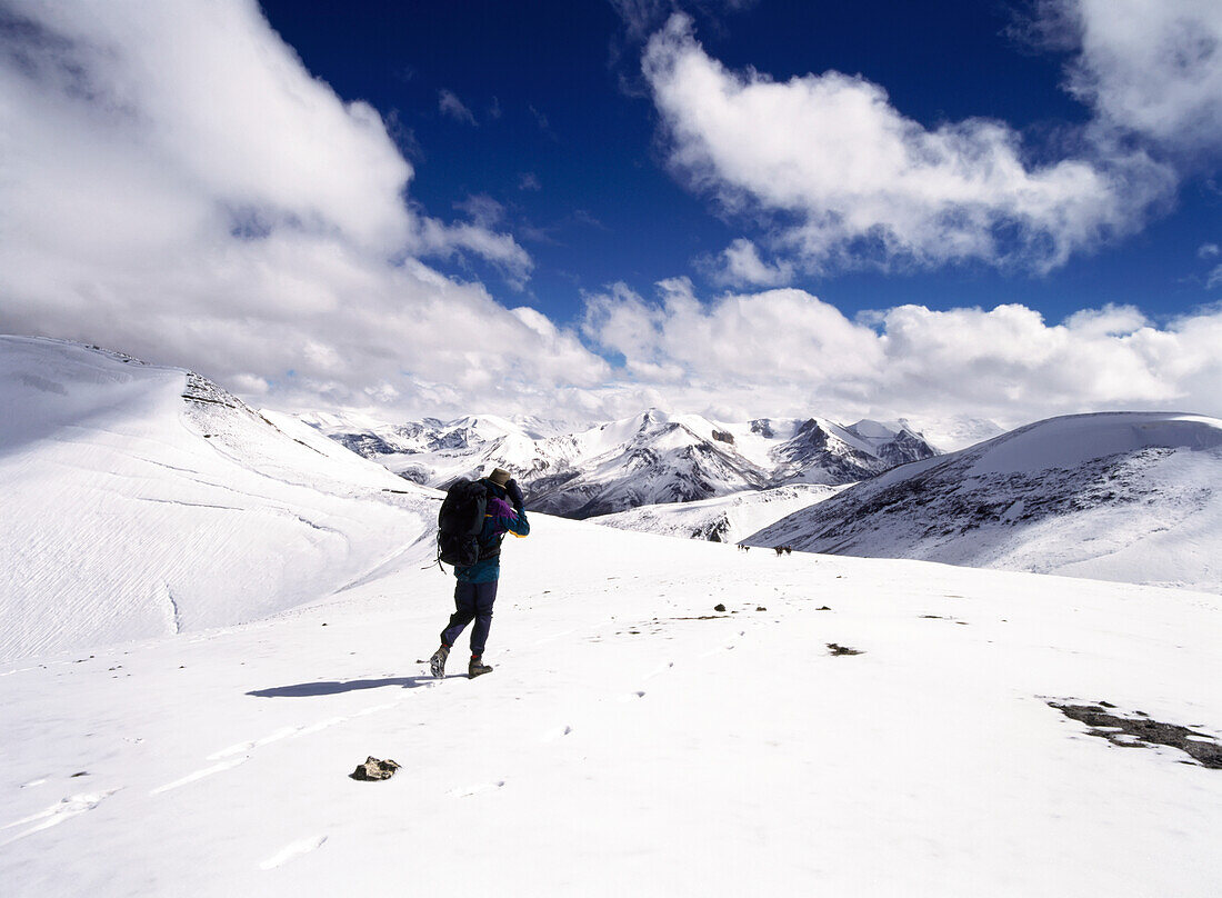 Tourist Wandern über Phirtse La Pas Zanskar, Indien.