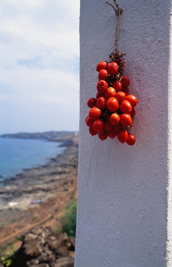 Tomaten,Pantelleria,Italien
