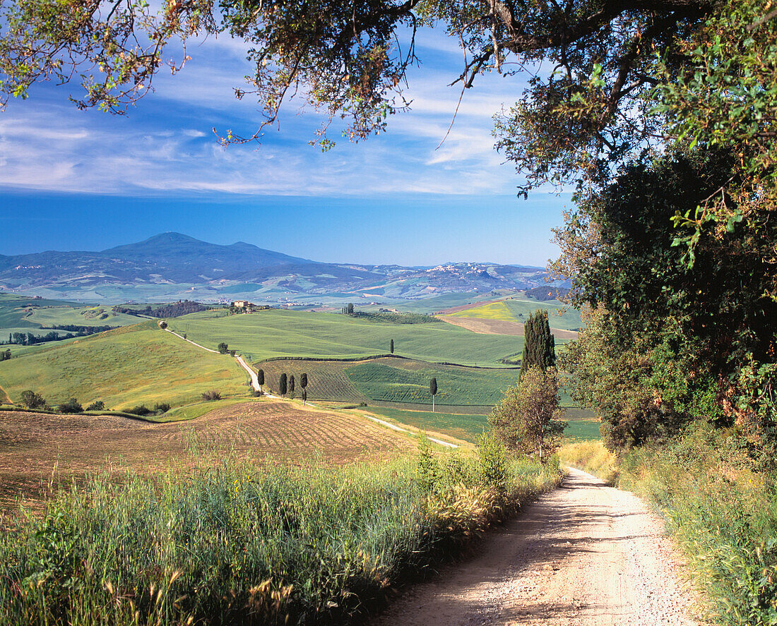 Straße zum alten Bauernhaus auf einem Hügel in der Nähe des Dorfes Pienza, Val D'orcia, Toskana, Italien