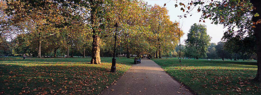 Green Park In London, England,Uk