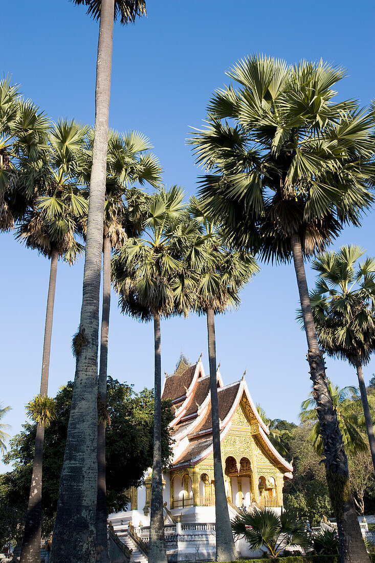 Wat Ho Prabang,Tempel innerhalb des Geländes des Königlichen Palastmuseums, Luang Prabang,Nordlaos