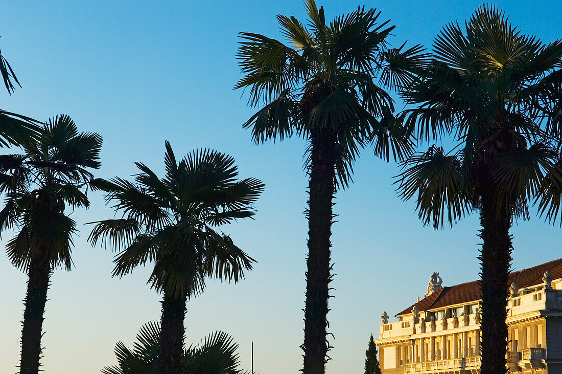 Palmen und Hotels aus dem 19. Jahrhundert im Zentrum von Opatija, Kroatien