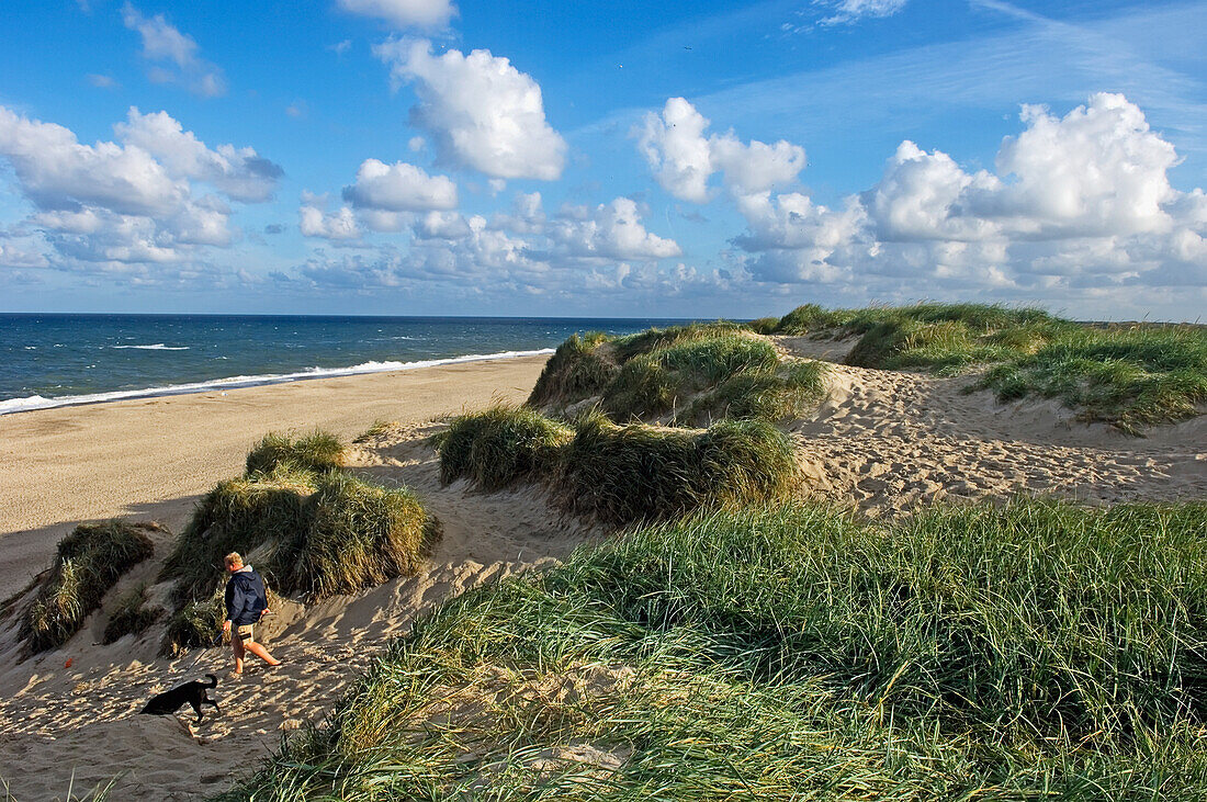 Man Walking Dog On Beach,Elevated View, Jutland,Denmark