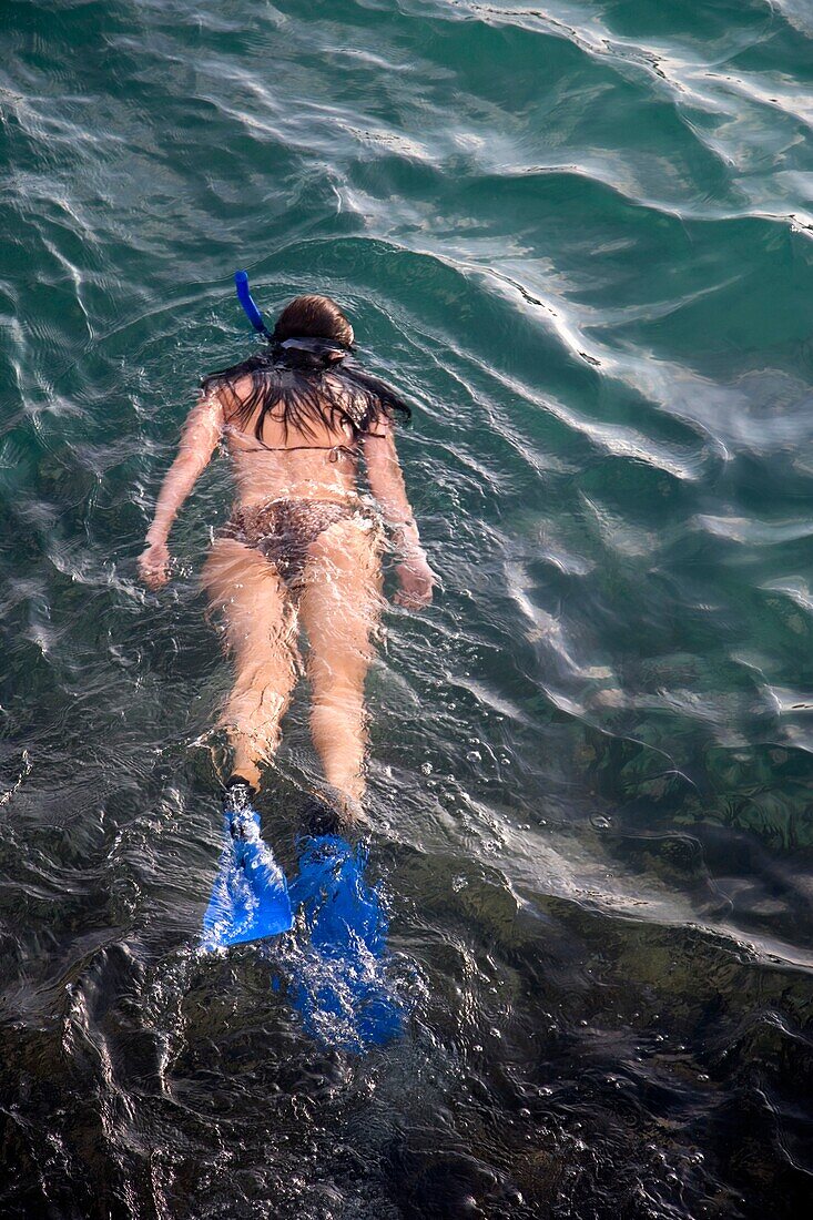Junge Frau beim Schnorcheln im Meer an der Riviera Maya, Yucatan-Halbinsel, Bundesstaat Quintana Roo, Mexiko