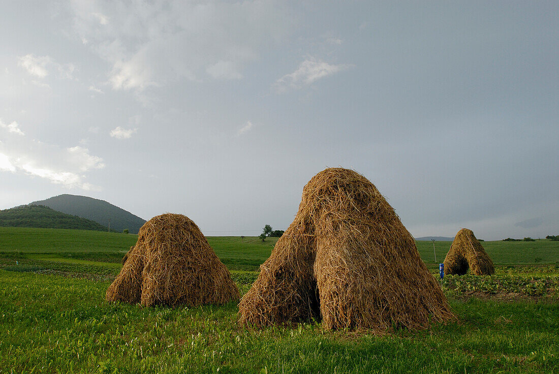 Heuhaufen auf dem Feld, Region Mala Fatra, Slowakei