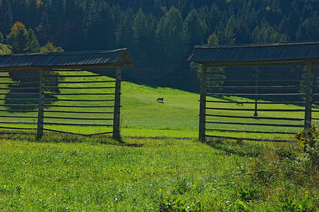 Paddock At Triglav National Park, Kranjska Gora,Slovenia