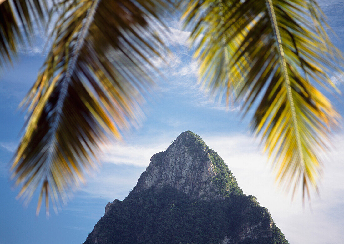 Blick durch Palmen am Strand von Soufriere in der Abenddämmerung in Richtung Petit Piton, St. Lucia.