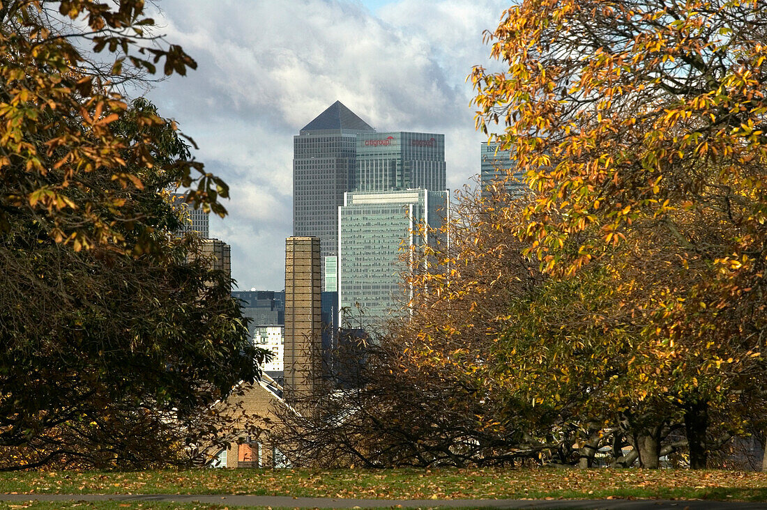 Canary Wharf Viewed From Greenwich Park, London,Uk