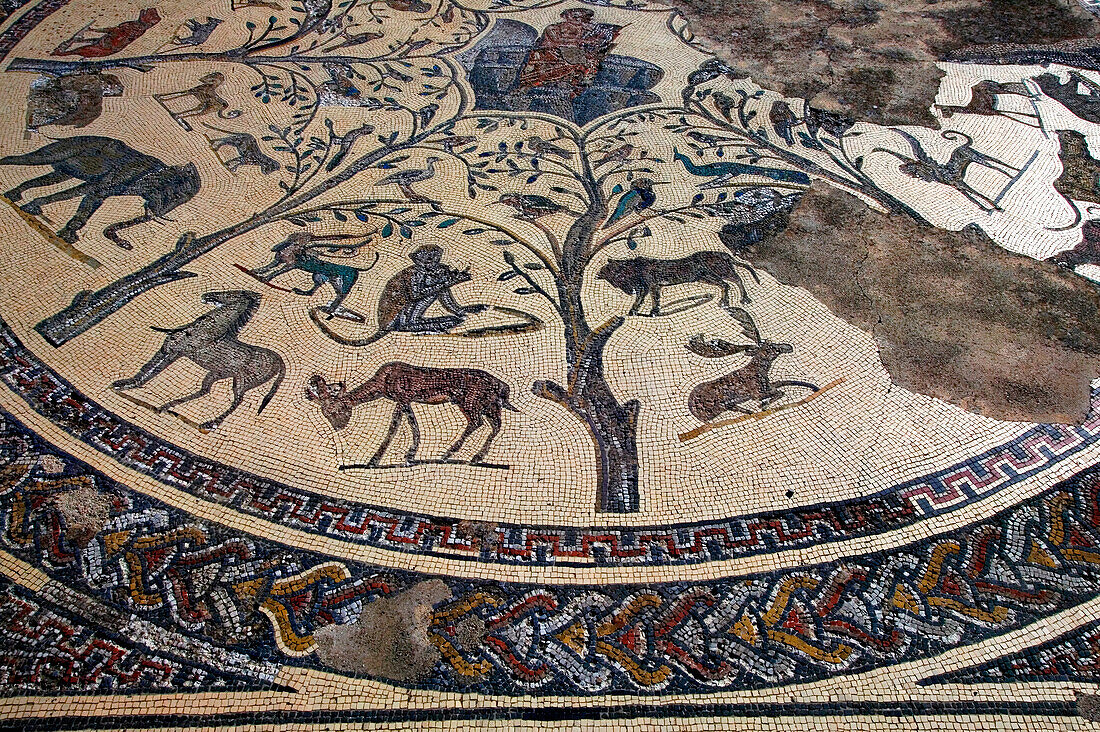 Teil der Mosaiken in den römischen Ruinen, Volubilis, Marokko