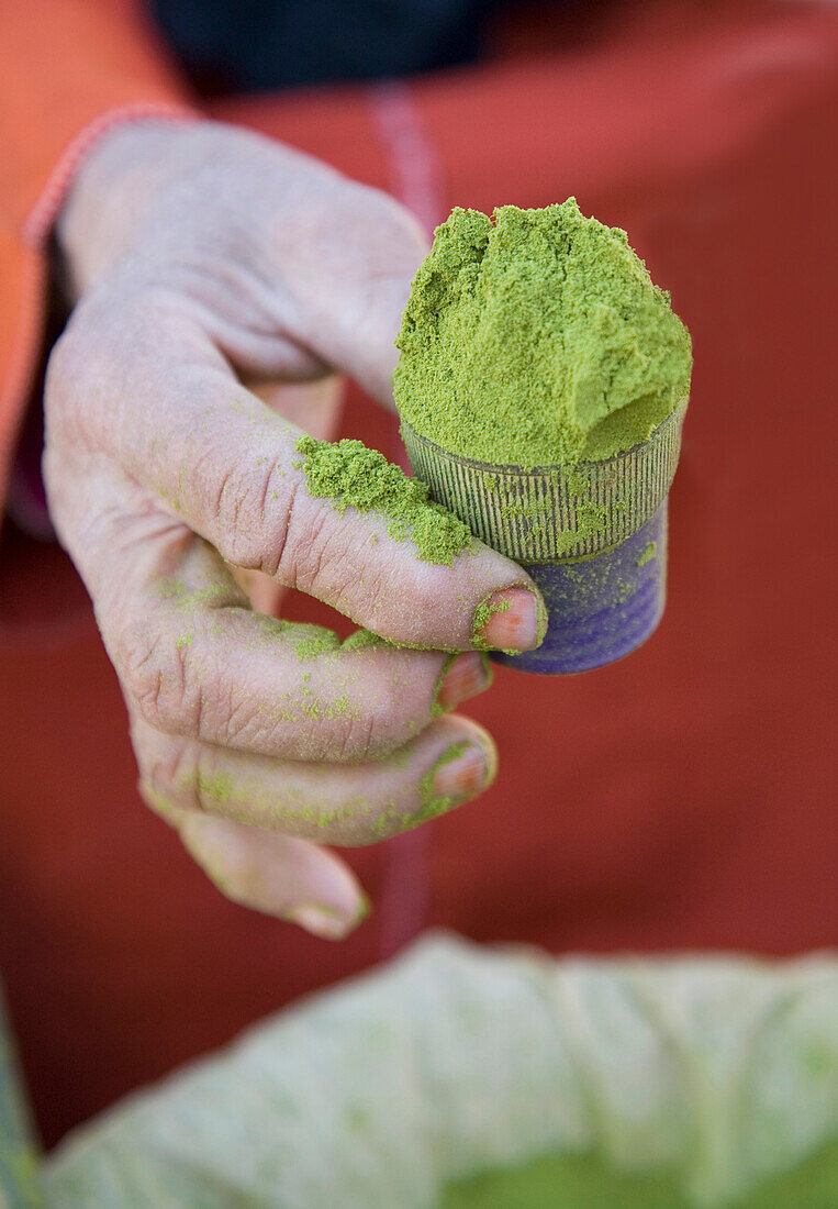 Woman Holding Pot Of Henna In Spice Souk,Close Up Of Hand, Marrakesh,Morocco