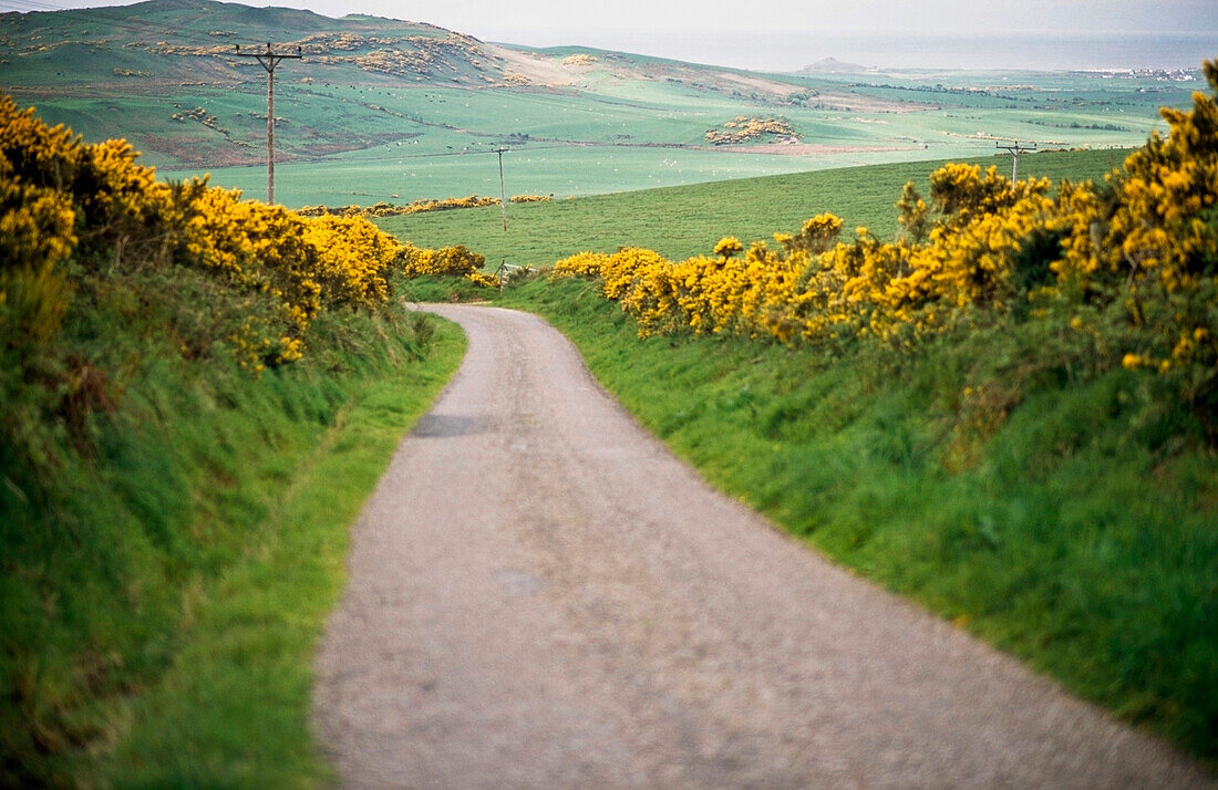 Straße bei Mull Of Kintyre, Argyll, Schottland.
