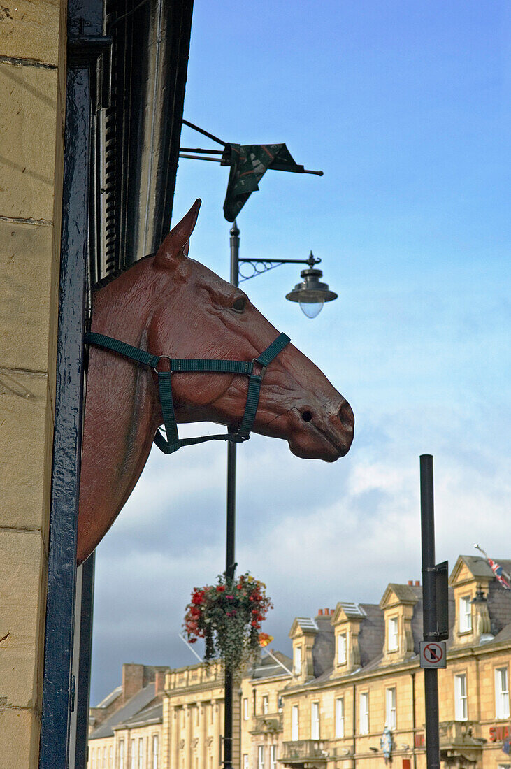 Gefälschter Pferdekopf auf Gebäude, Alnwick,Northumberland,England,Uk