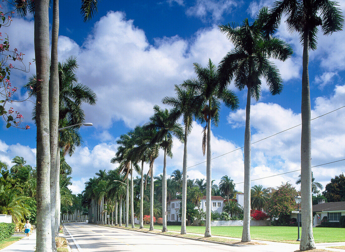 Mcgregor Blvd - Avenue Of The Palms,Fort Myers,Florida,Usa